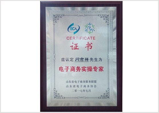 电子商务实操专家证书