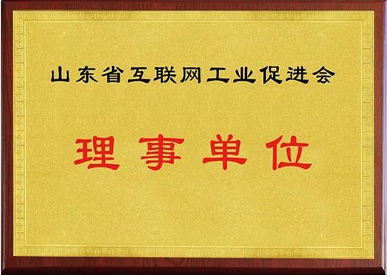 山东省互联网工业促进会理事单位