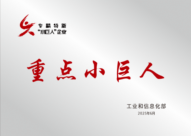 重点小巨人